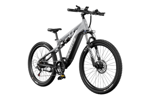 DUOTTS E29 Electric Bike