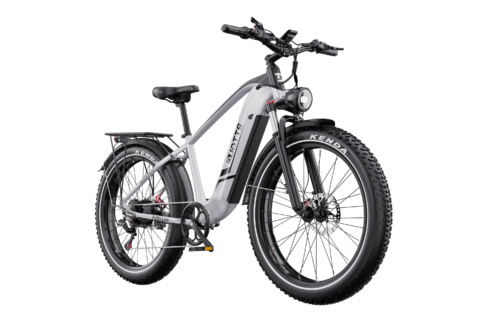 DUOTTS F26 Lite Electric Bike